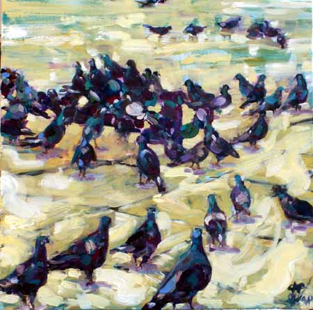 Pigeons de la place San Marco - Clothilde Lasserre