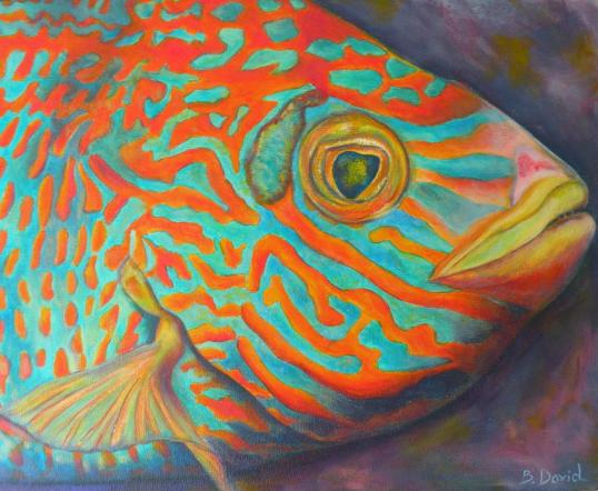 POISSON PROFIL - Béatrice David