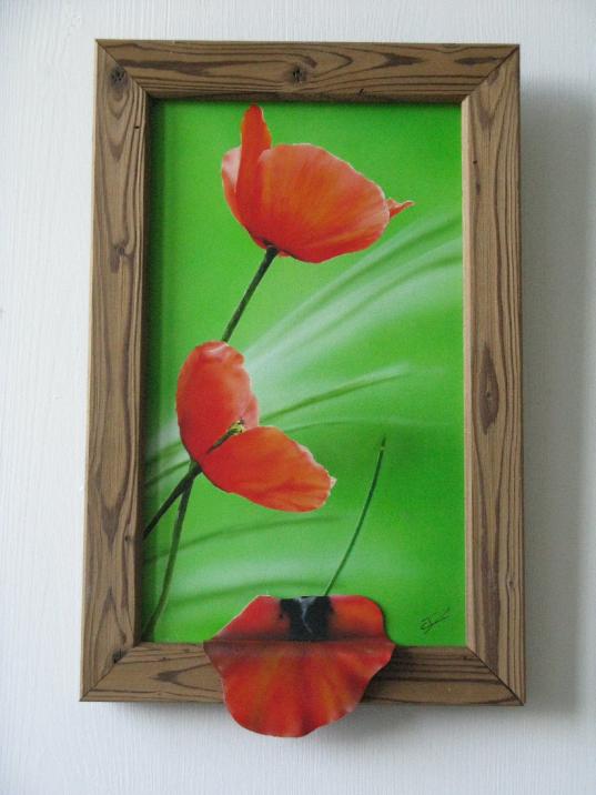 Les coquelicots - Corinne Dunand