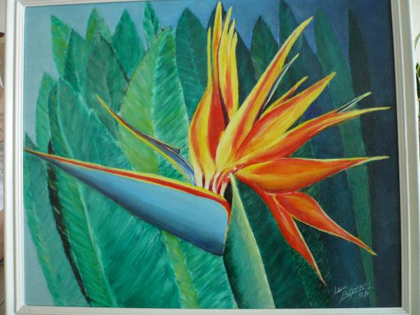 oiseau de paradis - Luc Baverel - Cliquer pour afficher en grand