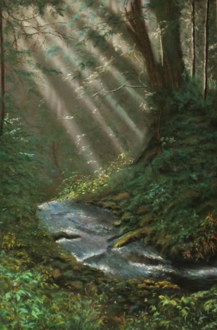 lumière en sous bois - jean Grézel