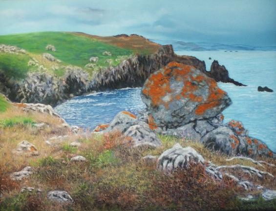 Cap Sizun ( Finistère ) - jean Grézel