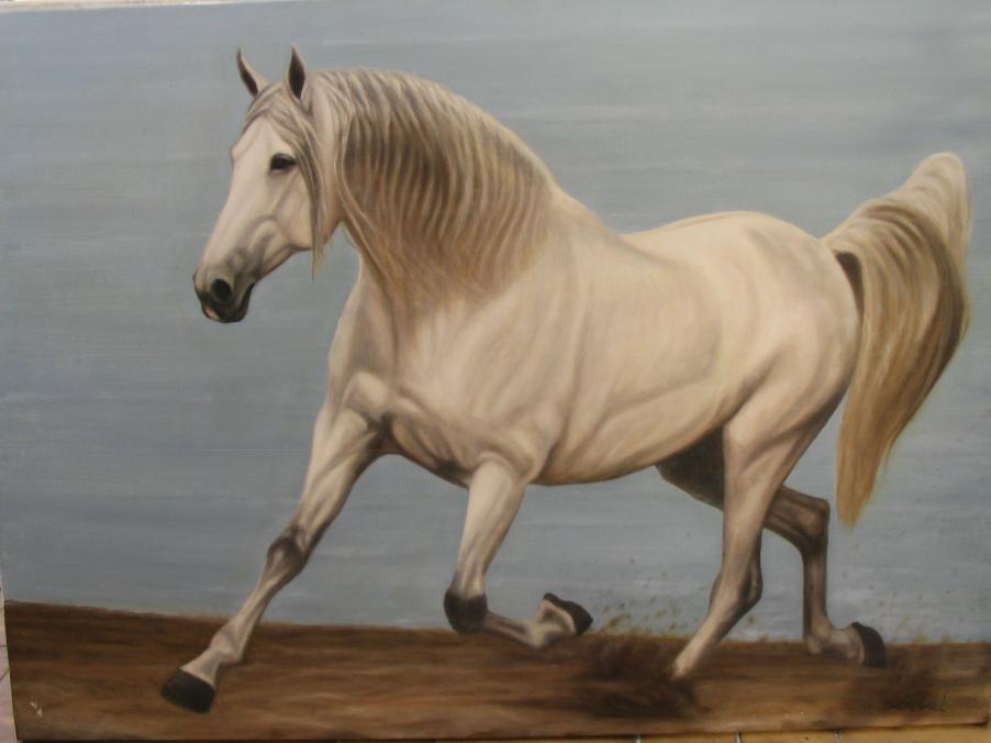 Andalou au trot - Nathalie Labat - Click to enlarge