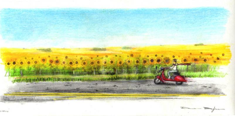 Camino a Mar del Sud - Damian Bojko - Cliquer pour afficher en grand