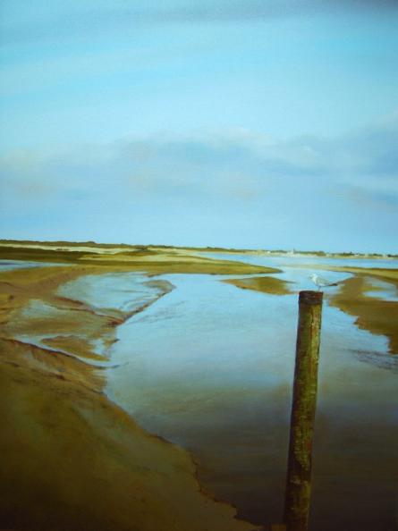 Le Hourdel2 - Alain Roche