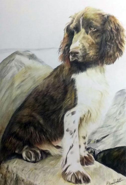 Commande Chien - Chris Pastel
