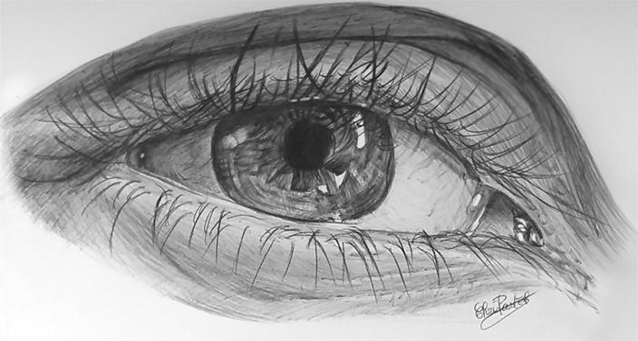Etude oeil - Chris Pastel - Click to enlarge