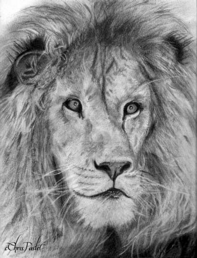 Lion - Chris Pastel