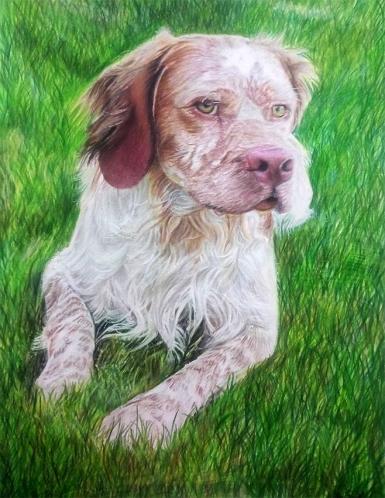 Maiko - Chris Pastel
