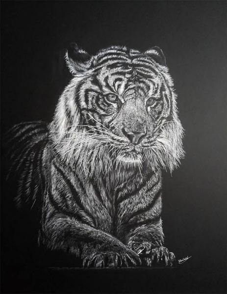 Tigre - Chris Pastel