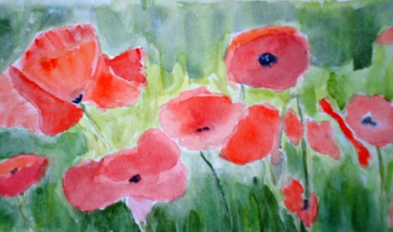 coquelicots petits - Brigitte Stienne - Cliquer pour afficher en grand