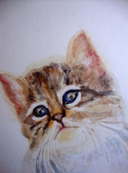chat - Brigitte Stienne