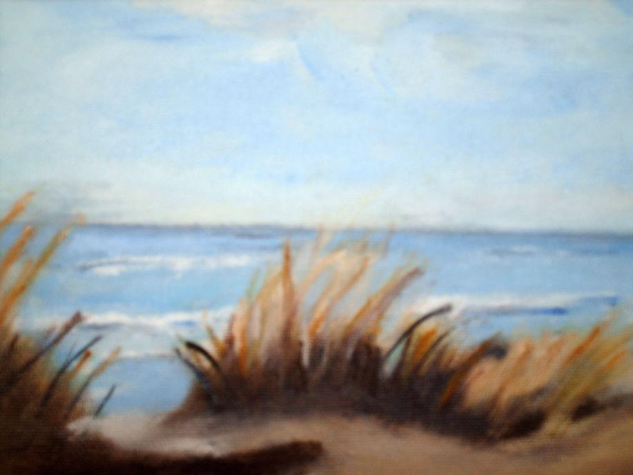 dunes de saints cecile - Brigitte Stienne - Cliquer pour afficher en grand
