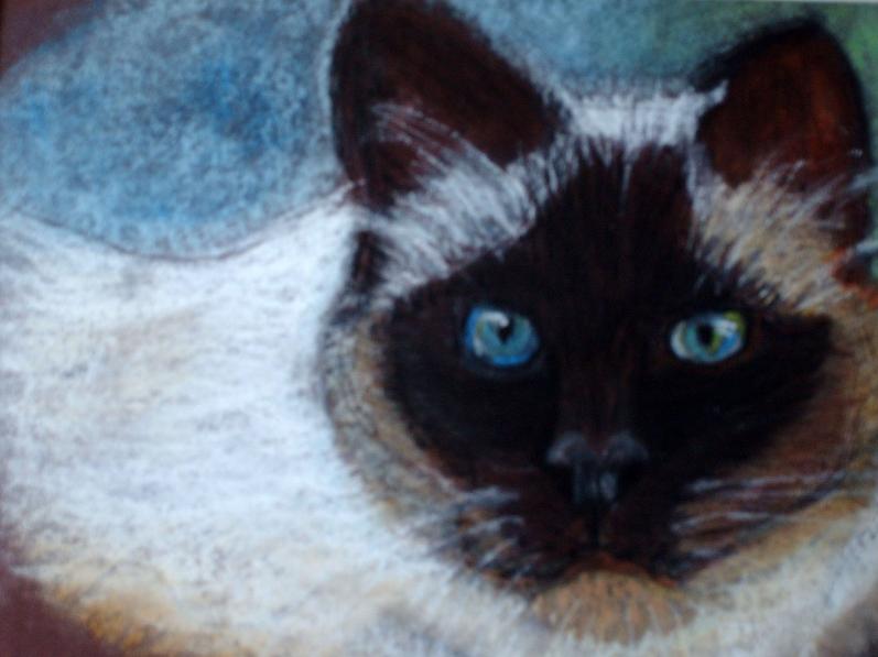 le minou - Brigitte Stienne - Click to enlarge
