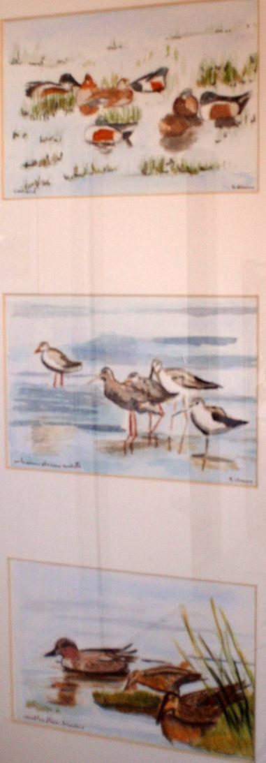 oiseaux migrateurs - Brigitte Stienne