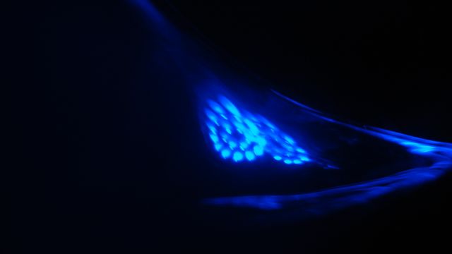 RGB368 - Fabio Torres - Click to enlarge