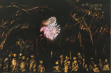 Feux d'artifice - Nicole Thévenon