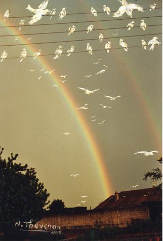 Les oiseaux - Nicole Thévenon