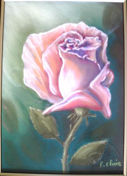 Bouton de rose - Frelon Claire