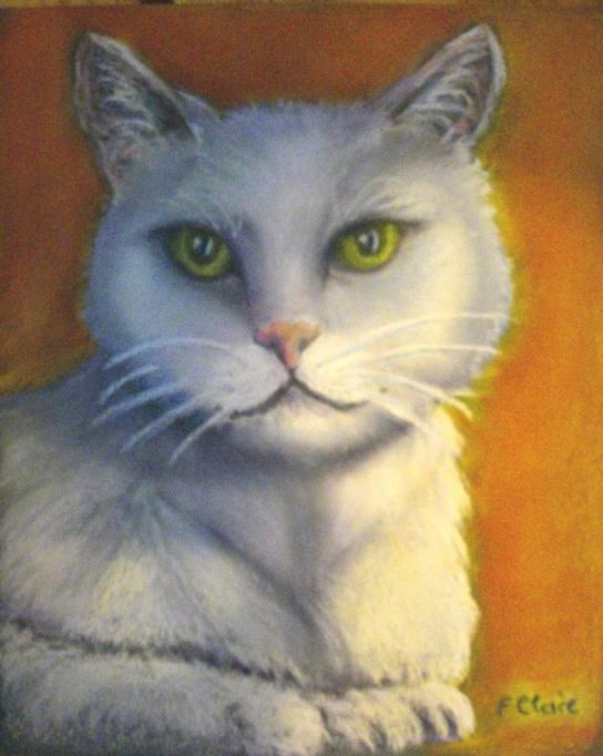 Chat blanc - Frelon Claire