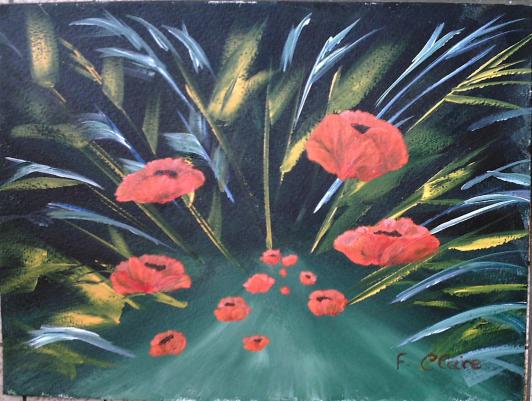 Coquelicots - Frelon Claire