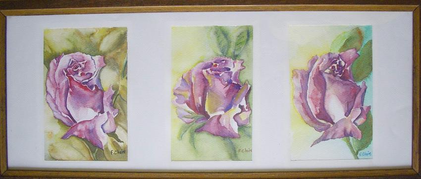 La vie d'une rose - Frelon Claire - Cliquer pour afficher en grand