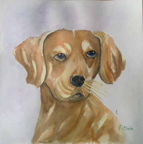 Mollie - Frelon Claire - Cliquer pour afficher en grand