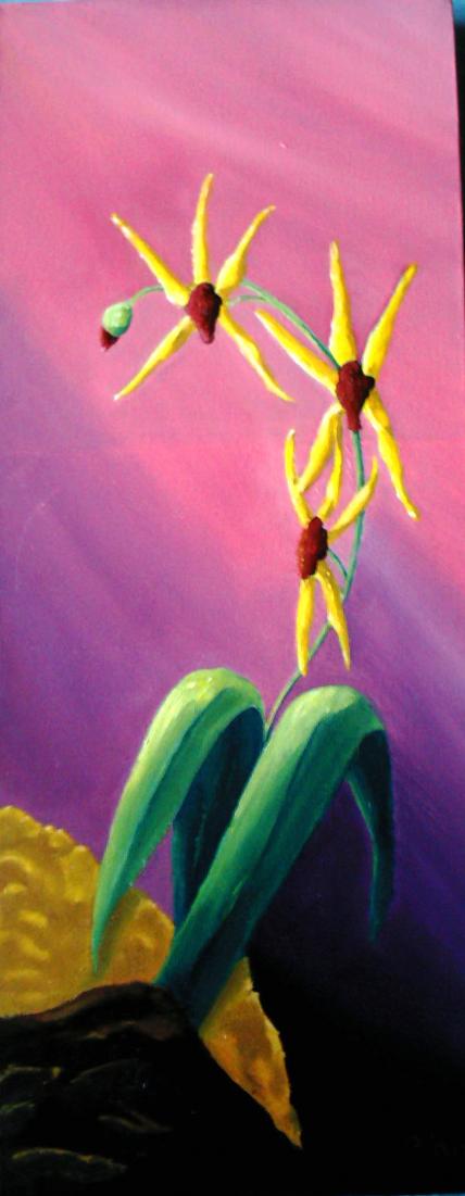 Orchidées - Frelon Claire