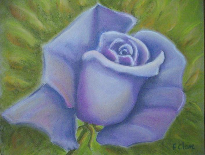 Rose Bleue - Frelon Claire - Click to enlarge