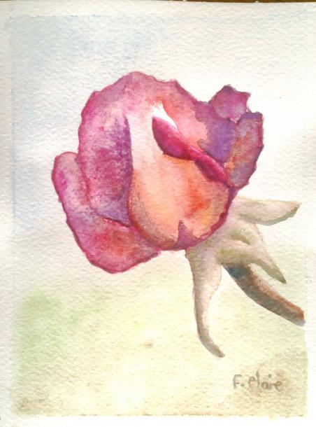 Rose d'avril - Frelon Claire