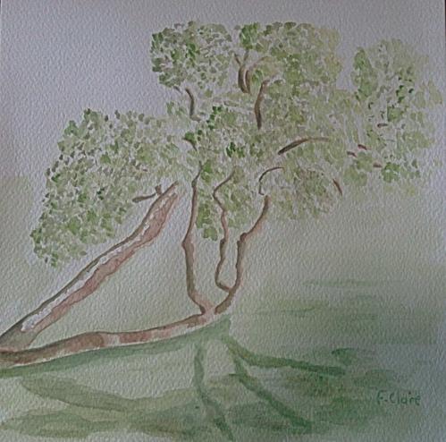 Sous les arbres de Branféré - Frelon Claire