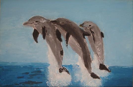 Les dauphins the dolphins - Patrick Riou