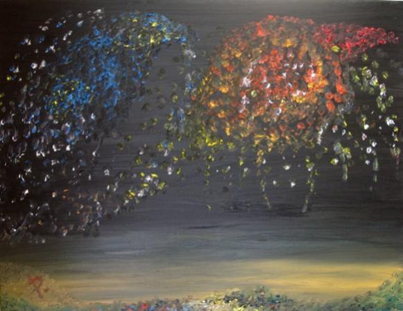 Feu d'artifice - Patrick Riou - Cliquer pour afficher en grand