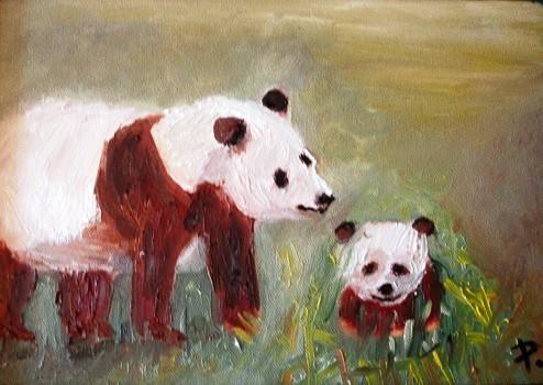 Les pandas - Patrick Riou