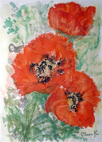 Coquelicots - Nicole Claes
