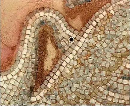 FLYING SWANS. A CLOSE UP - Magdalene Theocharis