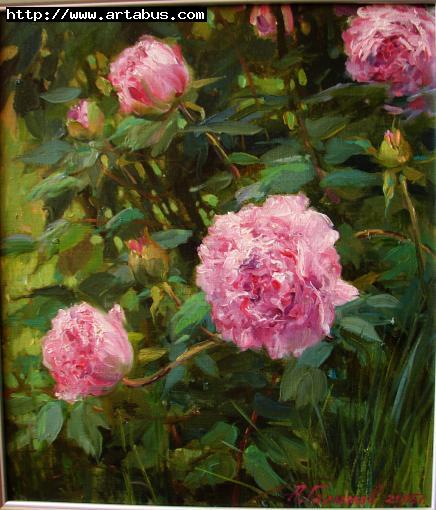 Turkish peony - Galimov Azat