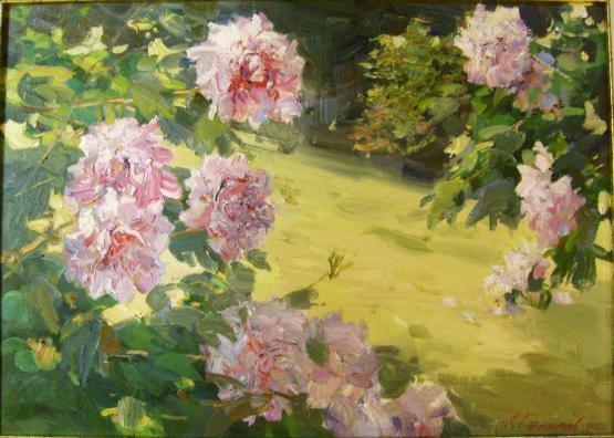 Peony Bushes - Galimov Azat