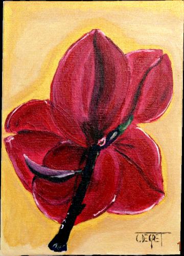 Fleur rouge - Claude Degret