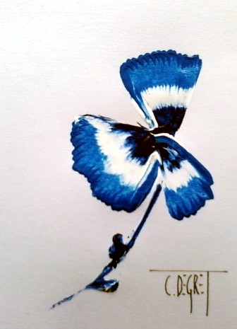 Fleur bleu - Claude Degret