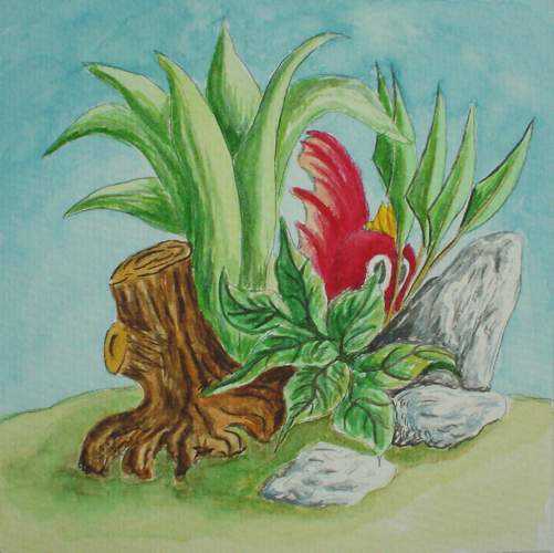 shy goldfish - Wabyanko