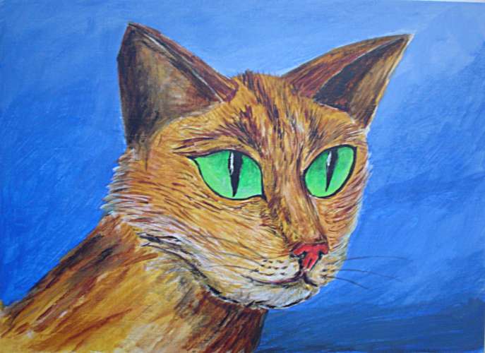 Chat - Wabyanko - Click to enlarge