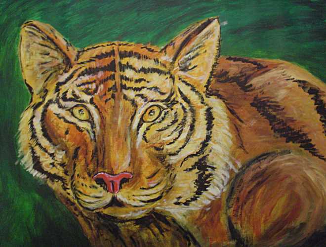 tigre - Wabyanko - Click to enlarge