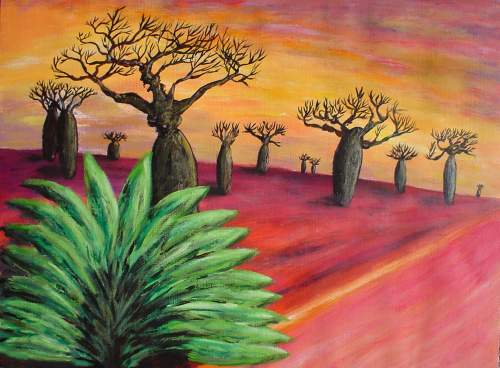 Madagascar Baobab - Wabyanko