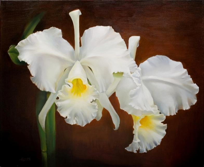 White Orchid - Anna Medvedeva - Cliquer pour afficher en grand