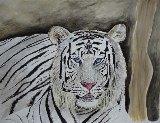 Bengal - Olivier Desmarest