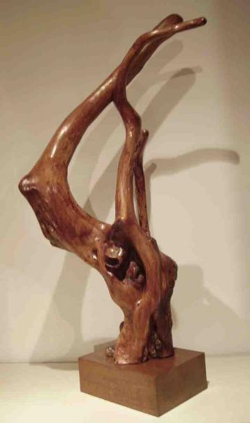 CARESSE - Dan Doarsic
