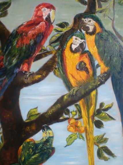Perroquets - Josephine DI  Palma