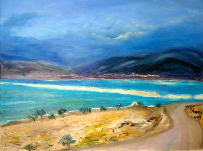 dead sea - Willie Shapira - Click to enlarge