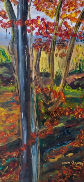 the orange forest - Willie Shapira